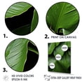 thumbnail image 3 of Designart "Serenity Among Palm Leaves I" Palms & Palm Trees Floater Framed Canvas Prints, 3 of 5