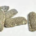 thumbnail image 4 of Bone Meal Plant Fertilizer Spikes - 50 Pack, 4 of 6