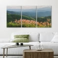 thumbnail image 2 of Wall26 Canvas Wall Art Set of 3 Green Mountain Flower Field Nature Wilderness Photography Realism Decorative Landscape Prints Rustic Country/Farmhouse Wall Decora - Unframed 24"x36"x3, 2 of 5