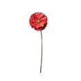 thumbnail image 1 of Northlight Poppy Artificial Floral Stem Spray - 18" - Coral Pink, 1 of 3
