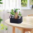 thumbnail image 4 of Desktop Ornament,Brazilwood Easy To Grow Indoor Tabletop Hydroponic Planter Green For Home And,Home Decor, 4 of 6