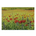 thumbnail image 3 of Flower Cutting Board, Colorful Field Poppies Bloom Flowers Lavender Farmland Hills Scenery, Decorative Tempered Glass Cutting and Serving Board, Small Size, Yellow Red Green, by Ambesonne, 3 of 5