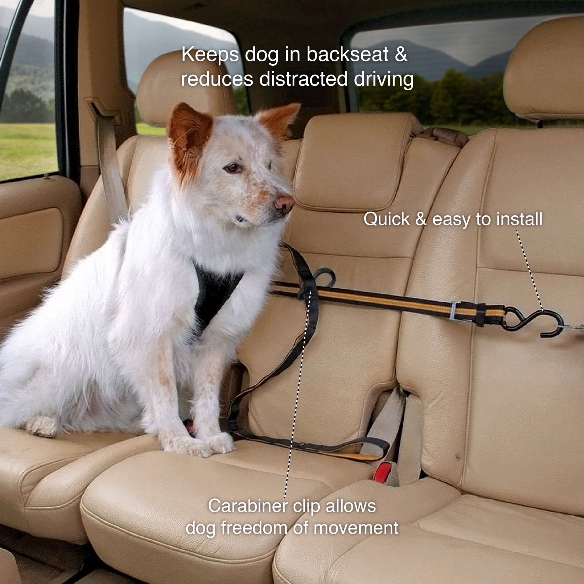 Kurgo Auto Zipline for Dogs, Adjustable Dog Safety Belt Leash, Pet Seat Belt Tether, Reduce Distracted Driving, Includes Dog Leash & Carabiner Clips, 6 feet