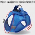 thumbnail image 2 of Cat leash with harness for cats outdoor walking, 2 of 2