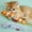 Orange, variant on Novura Catnip Fish Toy for Cats — 8.3" Long Plush Kicker Toy, Bite-Resistant Interactive Exercise Chew Toy for Indoor Cats, Filled with Premium Catnip & Feather Tail