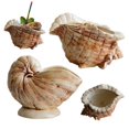 Shell Design Coffee Table Hugtrea Creative Conch Shell Ceramic Mug, Tropical Bar Cocktail Glass ...