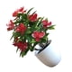 thumbnail image 5 of Bonsai de simulación de decoración del hogar de flores artificiales de plástico maceta falsa Vogacara HA8767-00B, 5 of 6