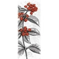 thumbnail image 2 of Grey, Jace 8x14 White Modern Wood Framed Museum Art Print Titled - Red Flower, 2 of 4