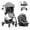 Mylar Gray, variant on Omni Plus Modular Travel System with LiteMax Rear-Facing Infant Car Seat (Mylar Gray)