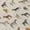 Beige, variant on Addison Rugs Chantille Indoor/Outdoor Transitional Animal Beige Machine Washable Rectangle Rug, 10' x 14'