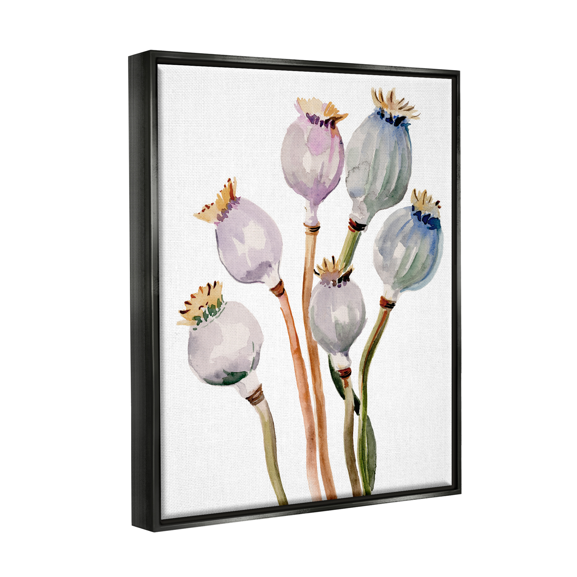 Stupell Industries Poppy Pods Watercolor Botanicals Botanical & Floral Painting Black Floater Framed Art Print Wall Art
