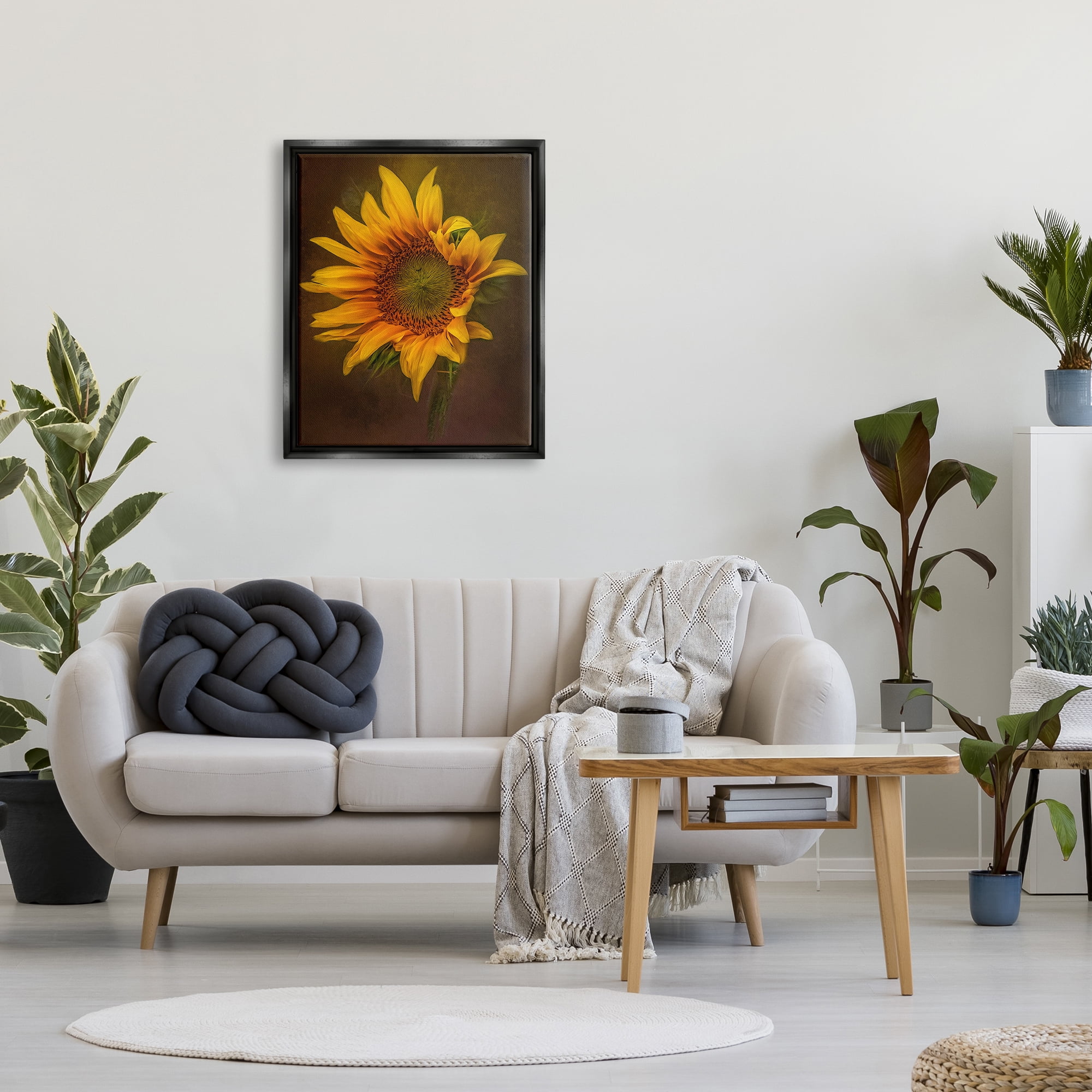 Stupell Industries Modern Detailed Sunflower Petals Botanical & Floral Painting Black Floater Framed Art Print Wall Art
