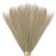 thumbnail image 1 of Uxcell 20 Paquete de Pasto de Pampas Falso 21.7" para Decoración del Hogar Boda Marrón, 1 of 6