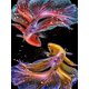 thumbnail image 2 of (ZQ167) Resina Con Doble Serie Koi Diamante 30x60CM, 2 of 9