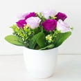 thumbnail image 4 of WIFKLSIIPG Rose Décobloom en Pot Maison, 4 of 5