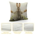 thumbnail image 4 of ONETECH  Throw Pillow Case Cover Grey Rabbit Isolated on A White Background Bunny Tail Back - Soft Pillow Case for Decorative Bedroom/Livingroom/Sofa/Farm House - Cushion Covers, 4 of 5