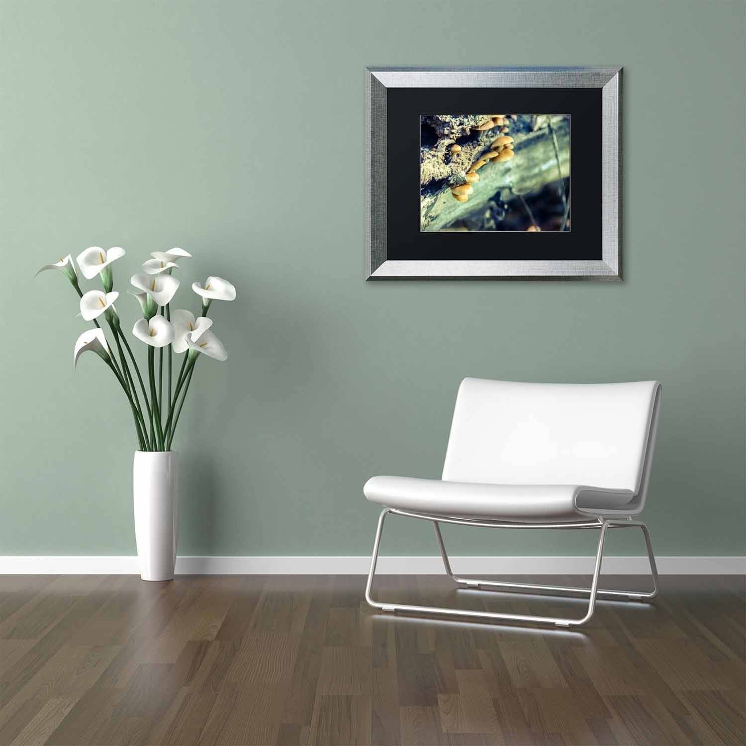 Trademark Fine Art 'Aged Mushroom' Canvas Art by PIPA Fine Art, Black Matte, Black Frame