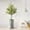 Olive Tree, variant on Artificial Tree in Modern Planter, Fake Monstera Silk Tree for Indoor and Outdoor Home Decoration - 56" Overall Tall (Plant Pot Plus Tree)
