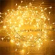 thumbnail image 4 of Guirnalda de luces con forma de petardo para exteriores, 6 m, 24 m y 40 m, con enchufe, resistente al agua, para Navidad, con forma de hada estrellada, 4 of 5