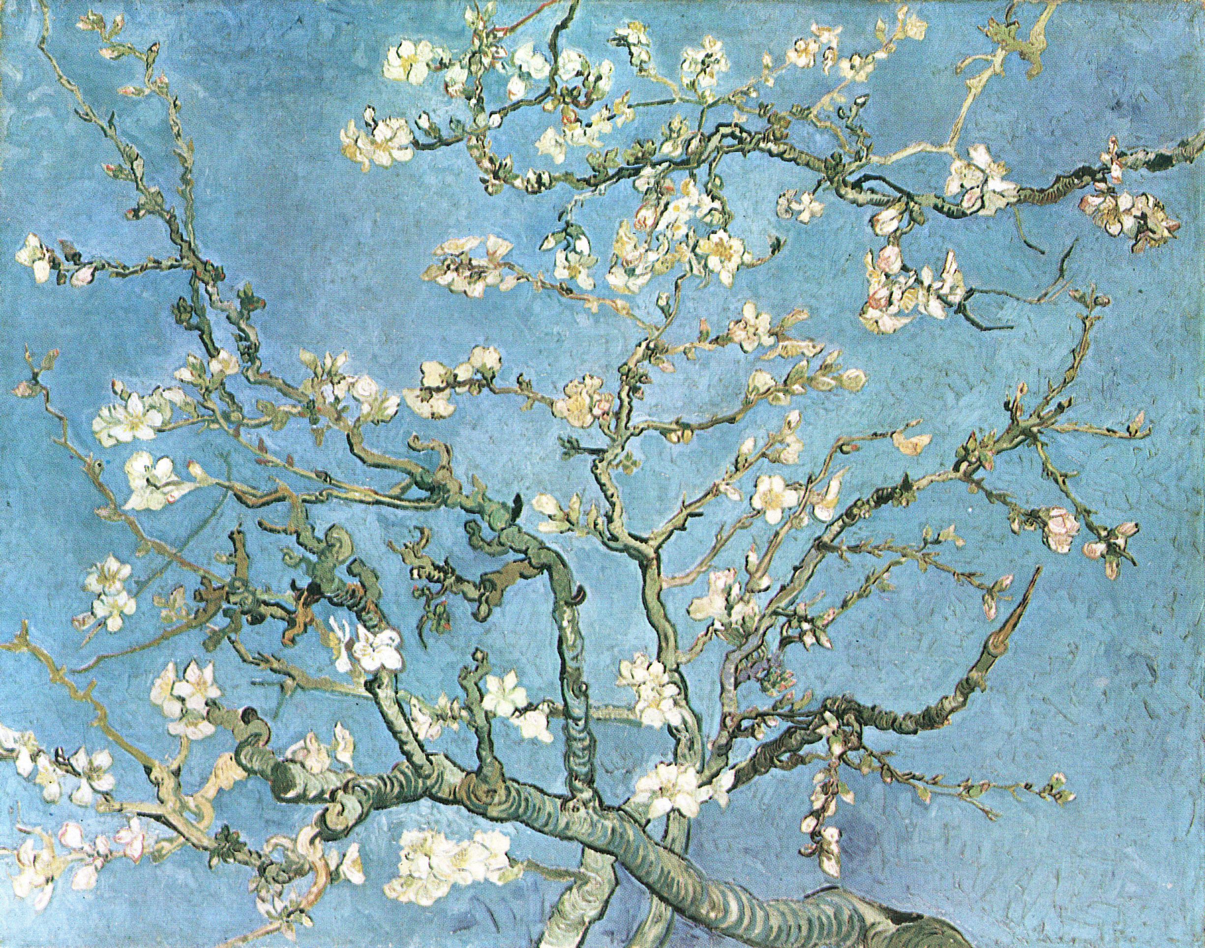 Laminated Poster Gogh, Vincent Willem van Almond Branches in Bloom Poster Print 20 x 30