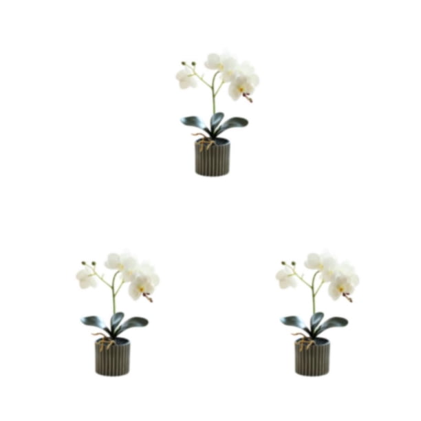 Advancent Orquídea artificial bonsái en maceta simulación Phalaenopsis hogar jardín decoración Color brillante falso para decoración Type1 NO1