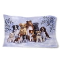 thumbnail image 1 of Carolines Treasures BDBA316APILLOWCASE Winter Dogs Fabric Standard Pillowcase, 1 of 1