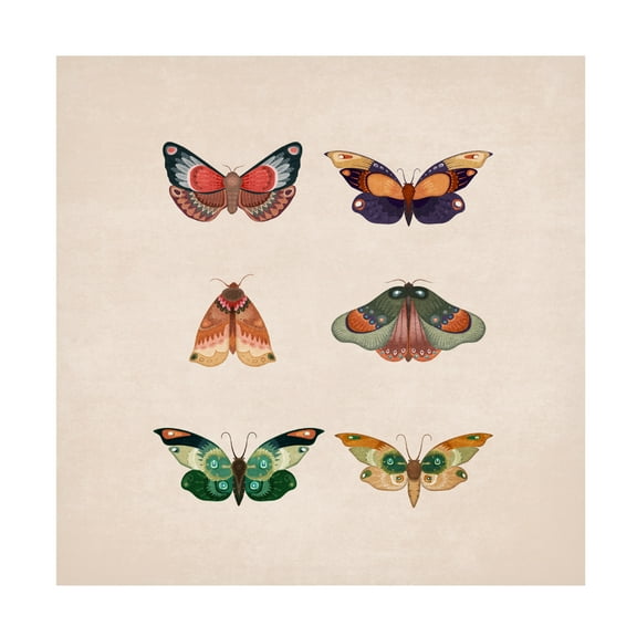 Trademark Fine Art Emel Tunaboylu Kelebekler Canvas Wall Art