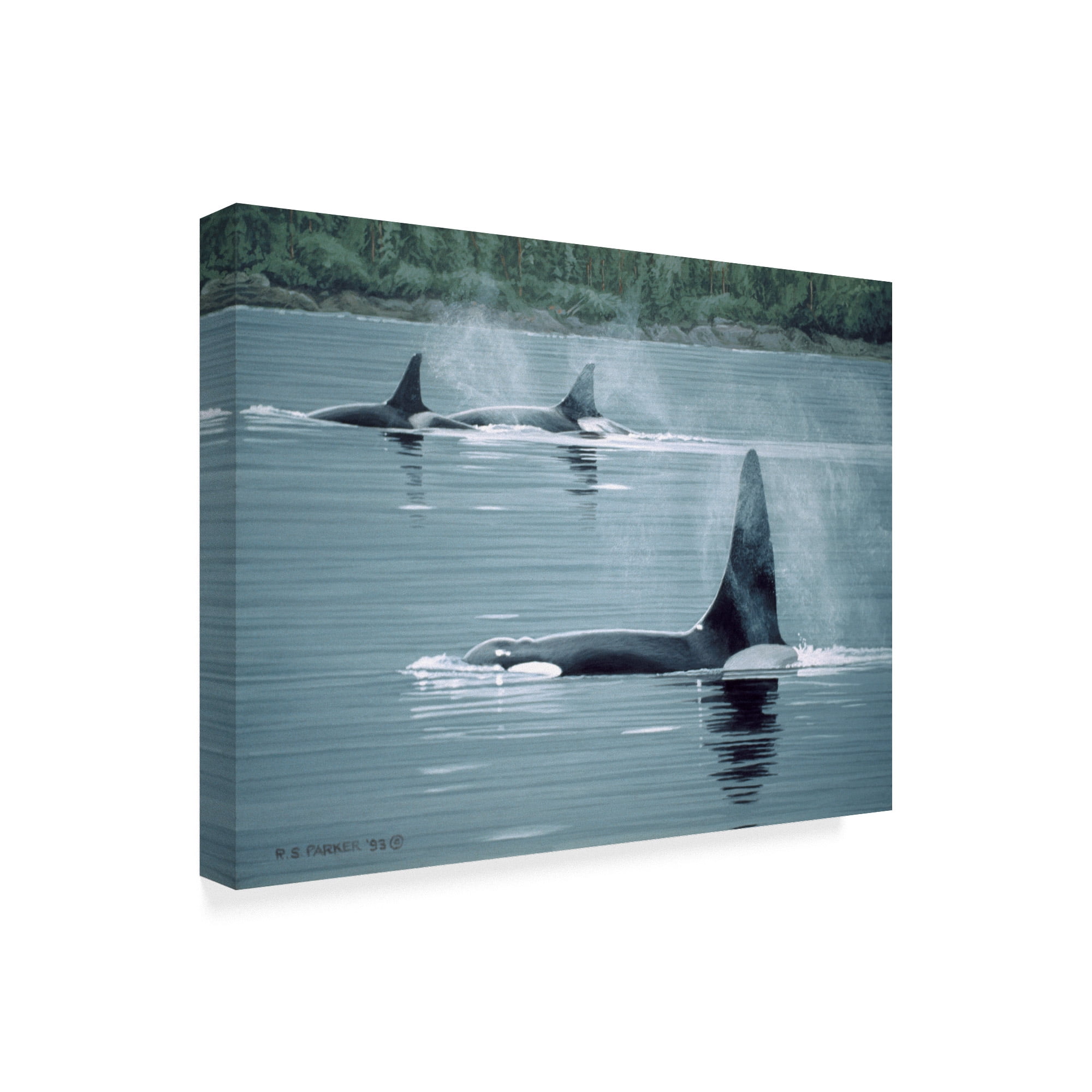 Trademark Fine Art 'Orcas' Canvas Art by Ron Parker