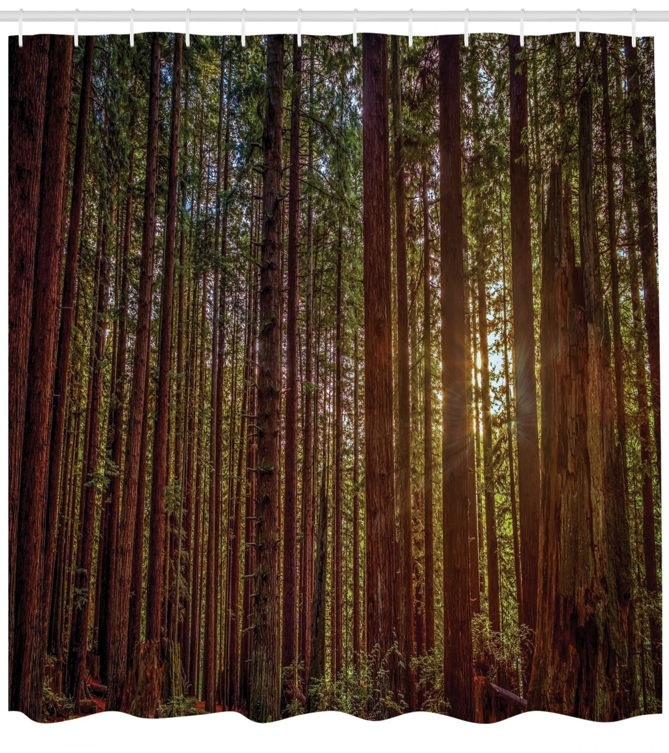 Forest Shower Curtain Redwood Forest In California Usa Nature