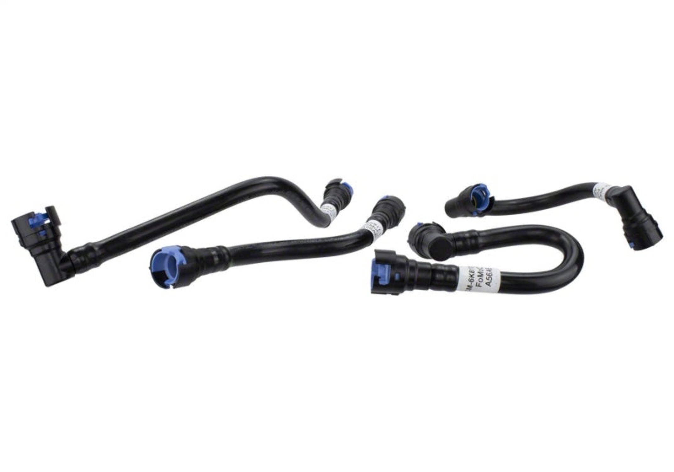 Ford Racing 2024 Mustang GT 5.0L/Mustang Dark Horse Oil Air Separator - Left Right Side
