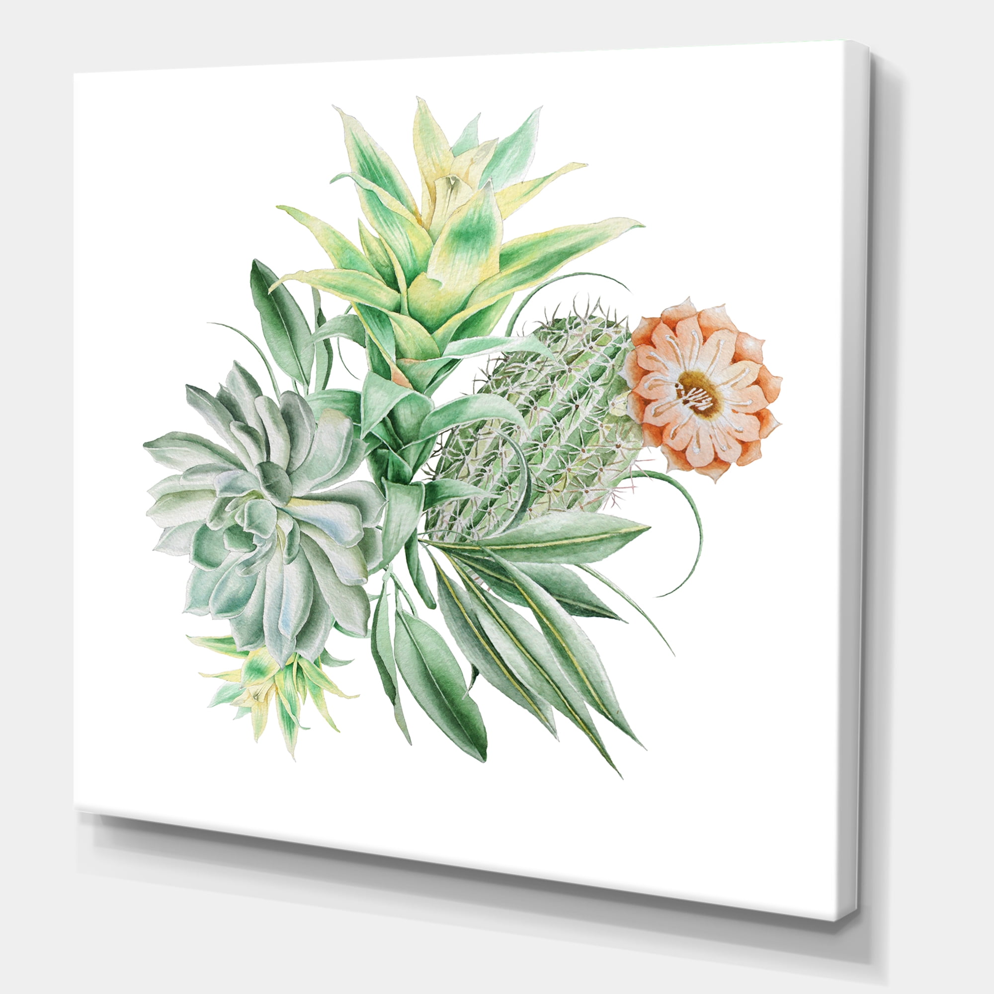 Designart ' Bouquet With Succulents and Cactus ' Traditional Canvas Wall Art Print