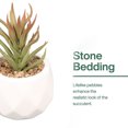 thumbnail image 3 of Plantas en maceta con formas-Decoraciones de oficina plantas en maceta Ormromra CPB-YL619-2, 3 of 5