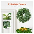 thumbnail image 2 of Artificial Eucalyptus Wreath 26 Inch - Greenery Front Door Wreath for Home Decor - Year Round Floral Wreath with Realistic Silk Leaves, 2 of 7