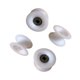 thumbnail image 1 of 4 ruedas para máquina de remo, ruedas de gimnasio, equipo de gimnasio multiusos Blanco, 1 of 9