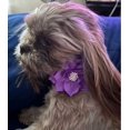 thumbnail image 4 of Miaocao Rhinestone Dog Collar and Leash Set, Soft Suede Leather Pet Collar with Bling Crystal Studs, 4 of 7