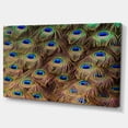 thumbnail image 2 of Plumes de Queue de Paon en Gros Plan - Impression sur Toile Animale, 2 of 3