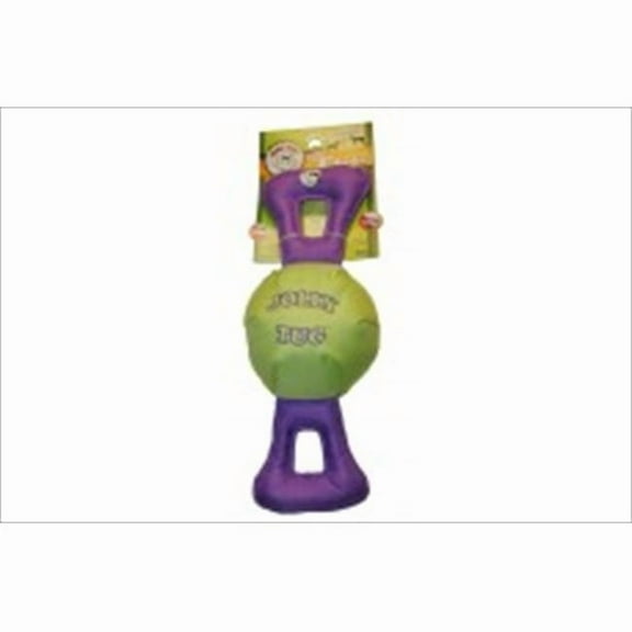 Jolly Pets Durable Squeaking Assembly Dog Toy with Interactive Play for Multi-color, Large