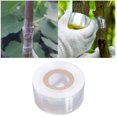thumbnail image 2 of cm * 200 m (3 rollos blancos) 3 rollos de cinta de injerto para suministros de vivero de árboles frutales herramientas de injerto, 2 of 3