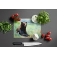 thumbnail image 3 of Lion Glass Cutting Board Large 12 in x 15 in, 3 of 24