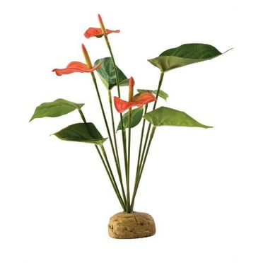 Exo Terra Anthurium Bush Terrarium Plant