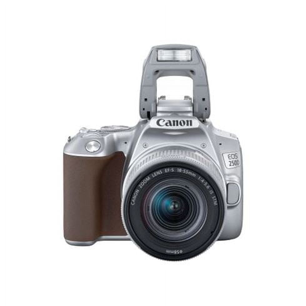 Cámara Canon EOS 250D / Rebel SL3 DSLR (solo cuerpo) + (blanco) tarjeta de  memoria de 64 GB + batería LPE17 + cargador externo + lector de tarjetas +  software Corel Photo +
