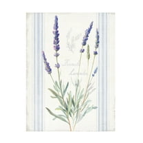 Danhui Nai 'Floursack Lavender I' Canvas Art
