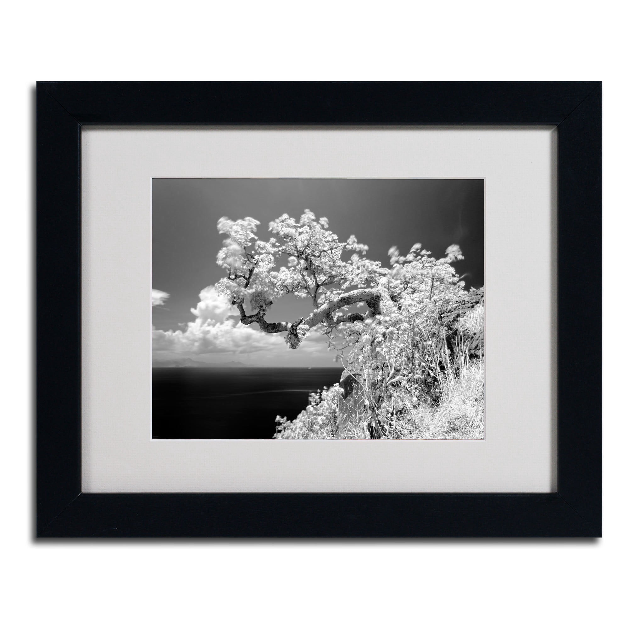 Matted art under acrylic in a black frame