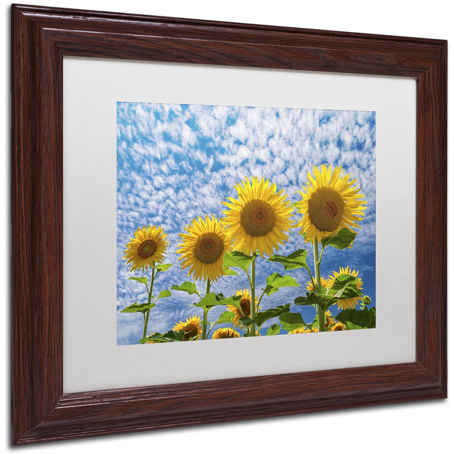 Trademark Fine Art "The Four Sisters" Canvas Art by Michael Blanchette Photography White Matte, Wood Frame
