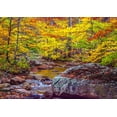 thumbnail image 2 of Gulin, Sylvia 18x14 White Modern Wood Framed Museum Art Print Titled - USA-New Hampshire-New England-Jackson small stream surrounded in Fall color, 2 of 4
