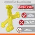 thumbnail image 4 of Nylabone Puppy Power Chew Axis Bone Nylon Chew Toy Vanilla Small (1 Count), 4 of 13