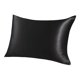thumbnail image 1 of 19mm Black Silk Pillowcase for Hair Skin Travel/20x14in Pillow Case with Zip Unique Bargains Funda de Almohada, 1 of 6