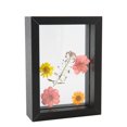 thumbnail image 1 of Marco de muestra de flores y hojas secas, marco de madera con real, 1 of 6
