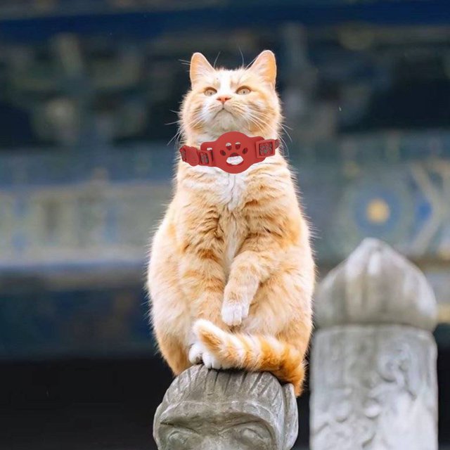 Durable Nylon Pet Collar For Small Dogs And Cats Adjustable And Versatile Design Ideal For Everyday Use And Outdoor Activities Comfortable Fit Perfect For And Training