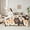 Beige Orange Black, variant on jejeloiu Cartoon Dachshund 7-Piece Bedding Comforter Set,Pet Puppy Dogs King Bedding Sets,Beige Black Bed Sheets For Girls Boys,Microfiber Bedroom Decor Reversible